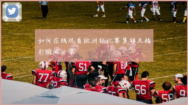 如何在线观看欧洲杯比赛集锦及精彩瞬间分享