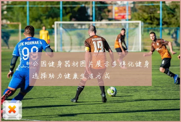 公园健身器材图片展示多样化健身选择助力健康生活方式