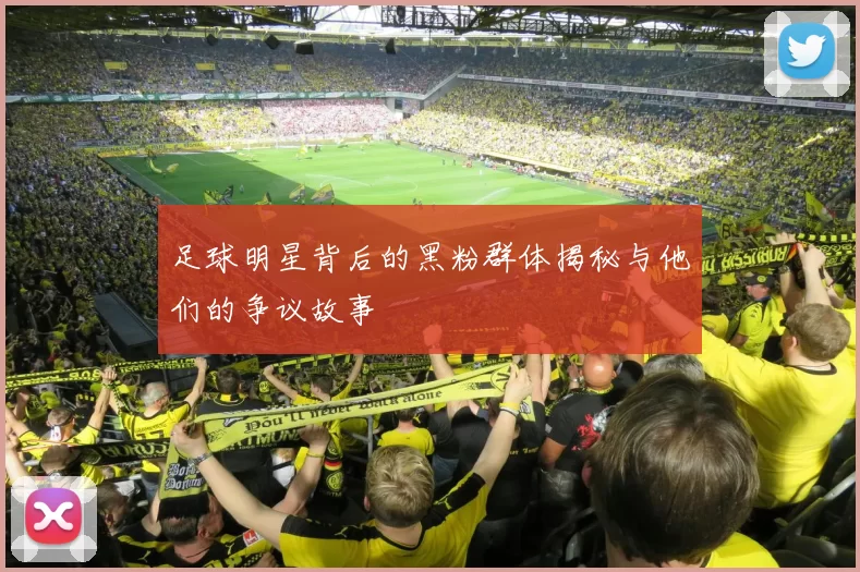 足球明星背后的黑粉群体揭秘与他们的争议故事